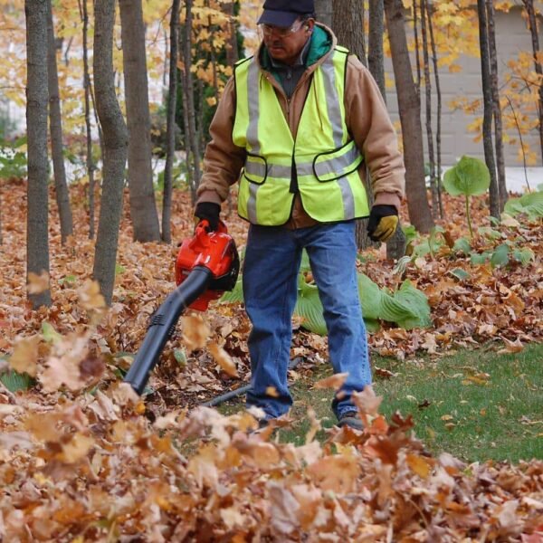 170 MPH 453 CFM 25.4 Cc Gas 2-Stroke Handheld Leaf Blower