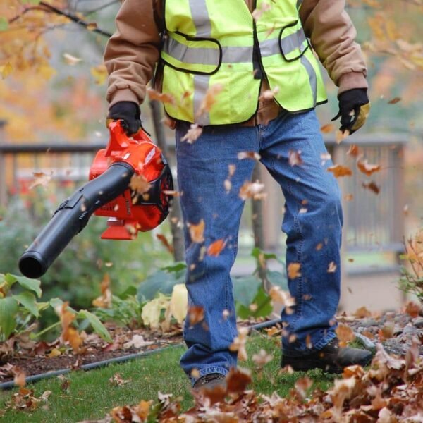 170 MPH 453 CFM 25.4 Cc Gas 2-Stroke Handheld Leaf Blower